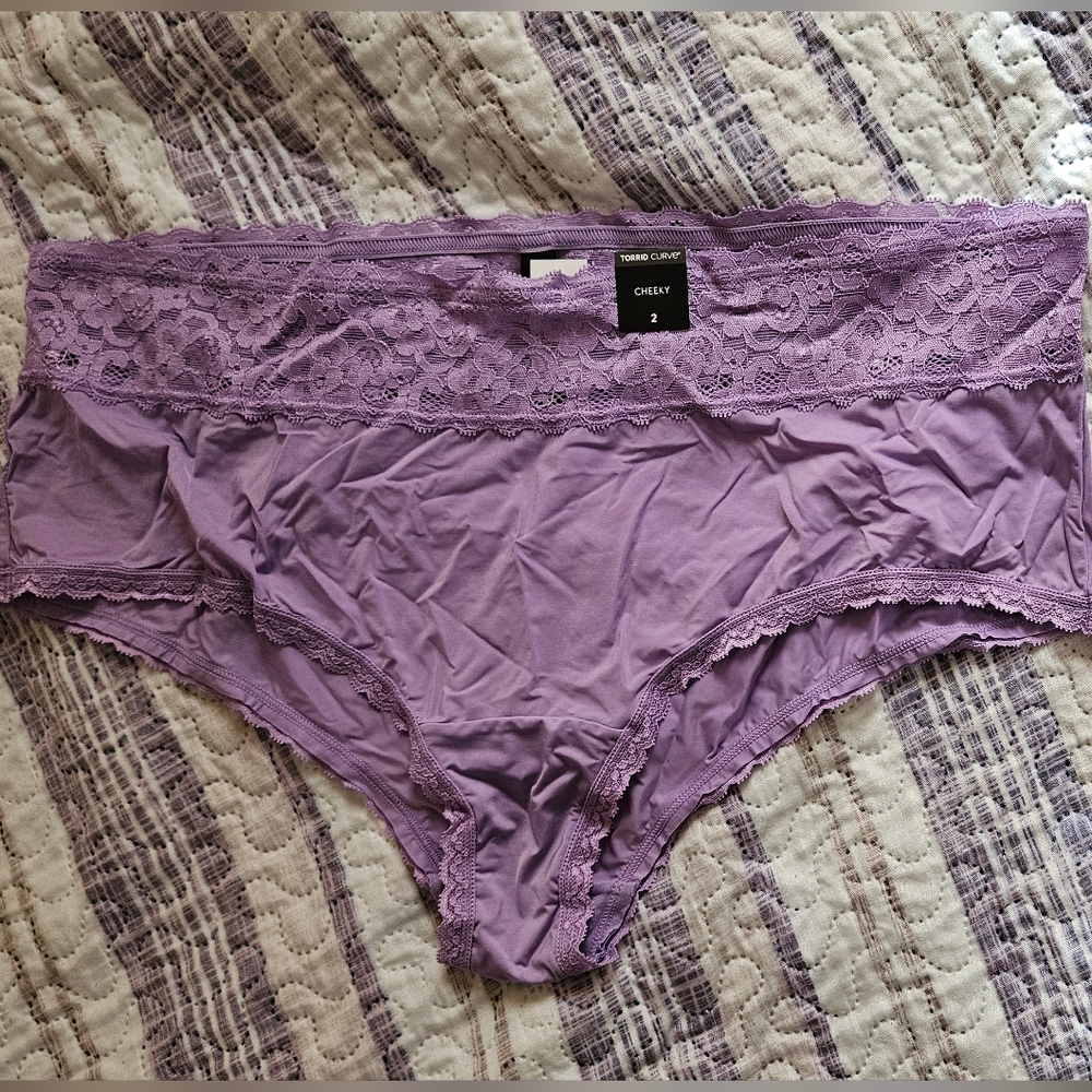 NWT Torrid Lacey Cheeky Panty - Picture 3 of 5